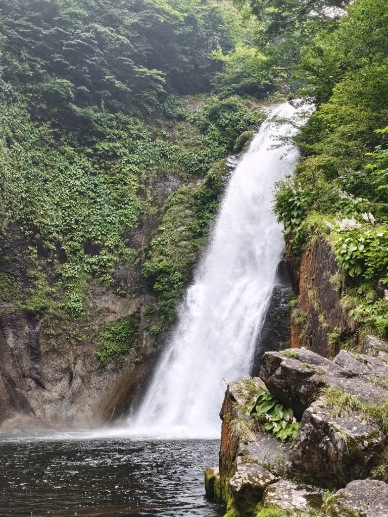 徒歩で下った秋保大滝の滝壺から見上げるマイナスイオンたっぷりの景色