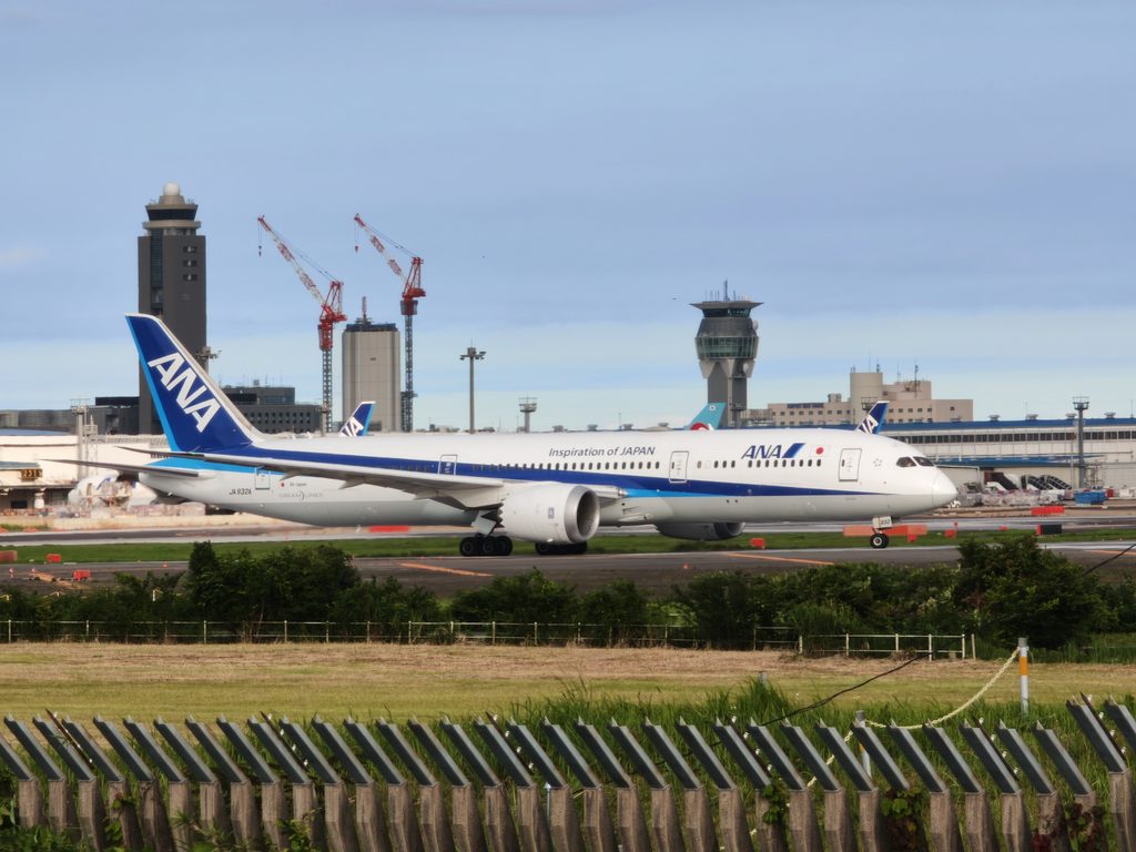 成田市さくらの山公園から撮影した、ANA（全日空）ボーイング787の美しい流線型の機体